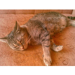 来自这款手机的图片