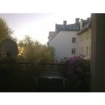 PICTURES FROM THIS PHONE