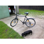 來自這款手機的圖片