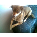 來自這款手機的圖片