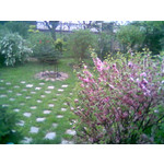 來自這款手機的圖片