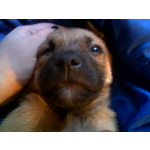 PICTURES FROM THIS PHONE