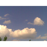 PICTURES FROM THIS PHONE