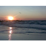 PICTURES FROM THIS PHONE