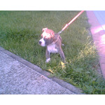 来自这款手机的图片