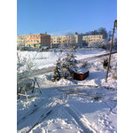 PICTURES FROM THIS PHONE