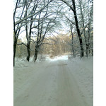 PICTURES FROM THIS PHONE