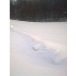 PICTURES FROM THIS PHONE