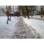 來自這款手機的圖片