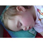 來自這款手機的圖片