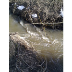 IMAGENS DESTE TELEFONE