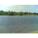 來自這款手機的圖片