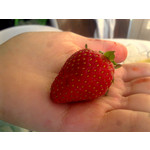 Imágenes de los usuarios Nokia 6700 Classic