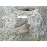 Imágenes de los usuarios Nokia 6700 Classic