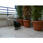 来自这款手机的图片