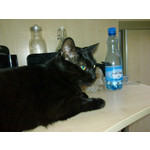 来自这款手机的图片