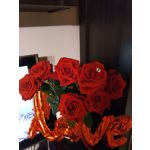 PICTURES FROM THIS PHONE