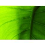 PICTURES FROM THIS PHONE