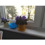 Pictures by this phone Nokia 7.1 Dual SIM