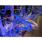 Pictures by this phone Nokia 7.1 Dual SIM