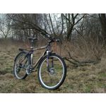 Pictures by this phone Nokia 7 Plus