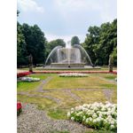 Pictures by this phone Nokia 7 Plus