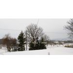 Pictures by this phone Nokia 7 Plus