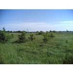 FOTO FATTE CON QUESTO TELEFONO