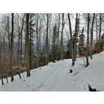 Foto dei utenti Nokia 8.3 5G