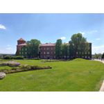 Foto dei utenti Nokia 8.3 5G