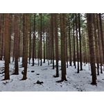 Foto dei utenti Nokia 8.3 5G