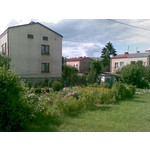 來自這款手機的圖片