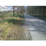 来自这款手机的图片