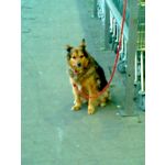 LAS FOTOS HECHAS CON ESTE TELÉFONO