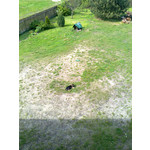 用戶照片 Nokia C2-01