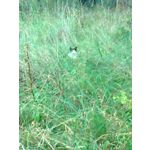 LAS FOTOS HECHAS CON ESTE TELÉFONO