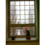 用戶照片 Nokia C2-01