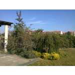 PHOTOS FAITES AVEC CE SMARTPHONE