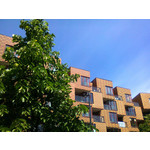 PHOTOS FAITES AVEC CE SMARTPHONE