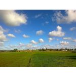 来自这款手机的图片