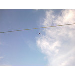 用戶照片 Nokia C5-03