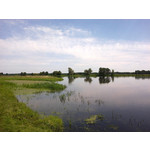 用戶照片 Nokia C5-03