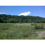 用戶照片 Nokia C5-03