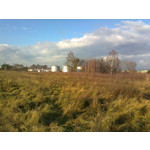 PICTURES FROM THIS PHONE