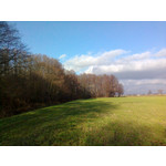 PICTURES FROM THIS PHONE