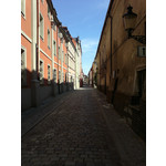 ФОТКИ СНЯТЫЕ ДАННЫМ МОБИЛЬНИКОМ