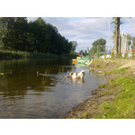 PICTURES FROM THIS PHONE