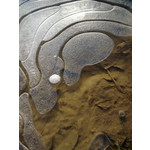 PICTURES FROM THIS PHONE