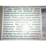 PICTURES FROM THIS PHONE