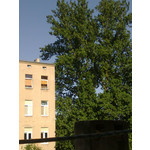 PICTURES FROM THIS PHONE